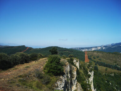 cortafuegos-2
