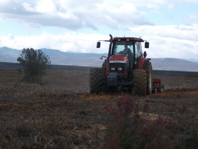 trabajos-forestales-tractor-2